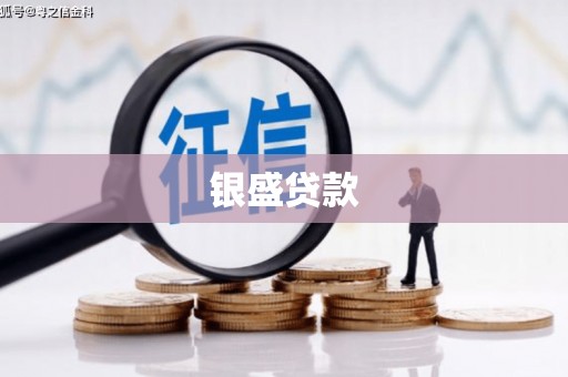 奈曼旗银盛贷款