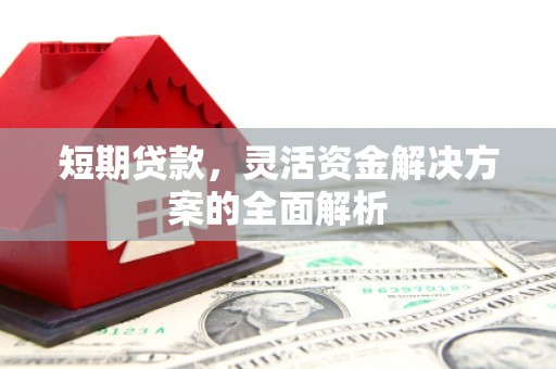 奈曼旗短期贷款，灵活资金解决方案的全面解析