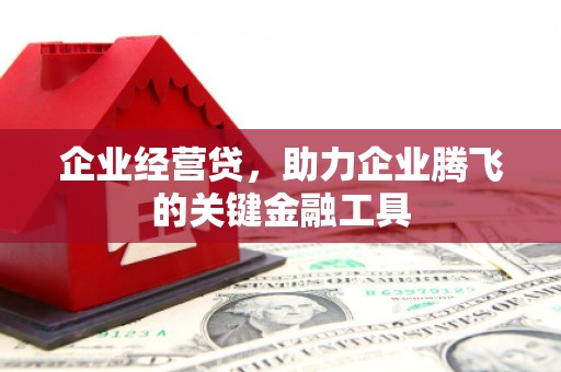 奈曼旗企业经营贷，助力企业腾飞的关键金融工具