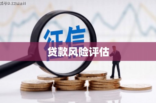 奈曼旗贷款风险评估