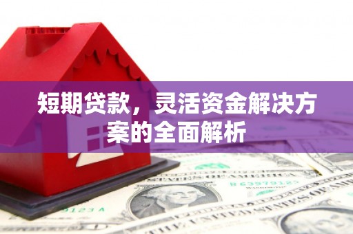 奈曼旗短期贷款，灵活资金解决方案的全面解析