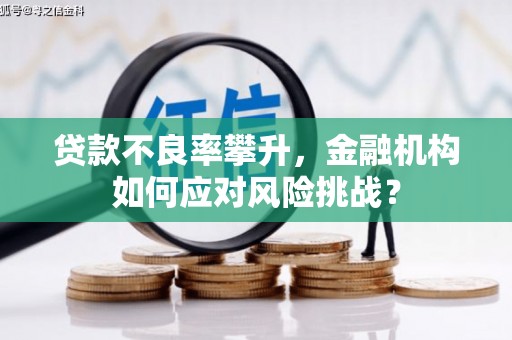 奈曼旗贷款不良率攀升，金融机构如何应对风险挑战？