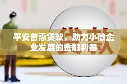 奈曼旗平安普惠贷款，助力小微企业发展的金融利器